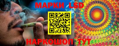 МДПВ Добрянка