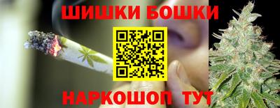 прущие грибы Железногорск