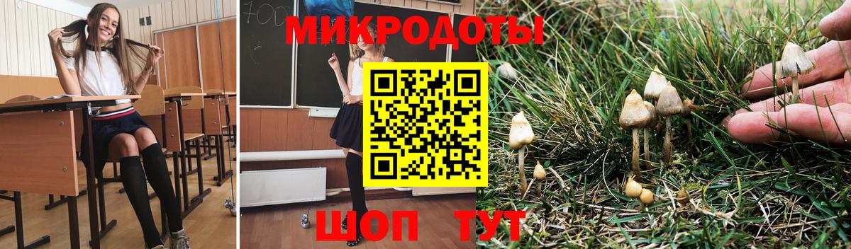 Новодвинск  Галлюциногенные грибы мицелий  Вход с VPN 